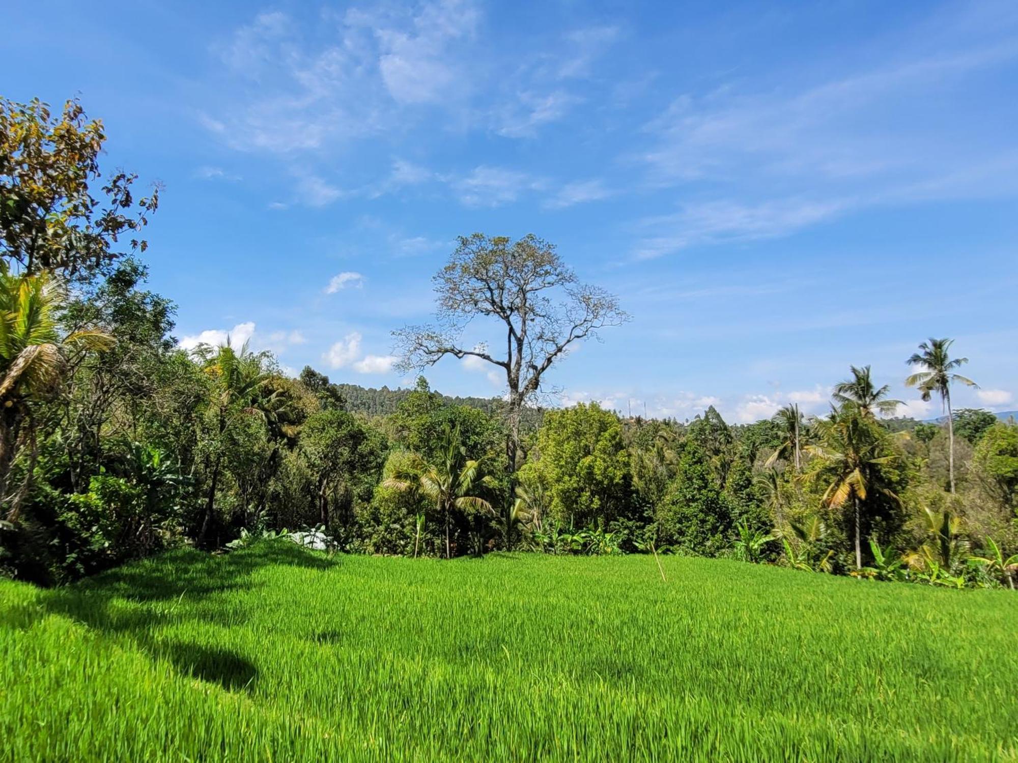 Umah Yugadi Bali Appartement Munduk Buitenkant foto