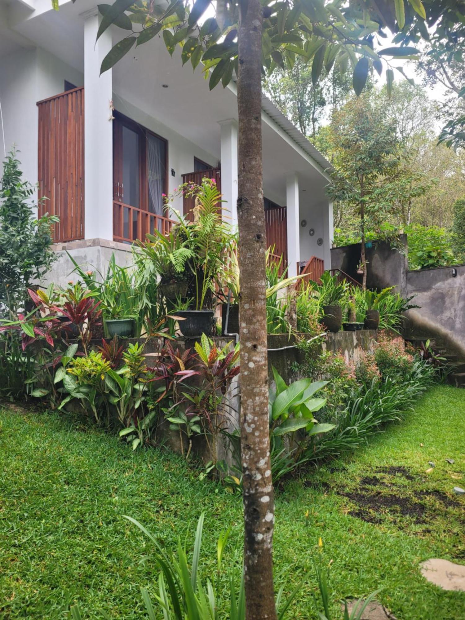 Umah Yugadi Bali Appartement Munduk Buitenkant foto
